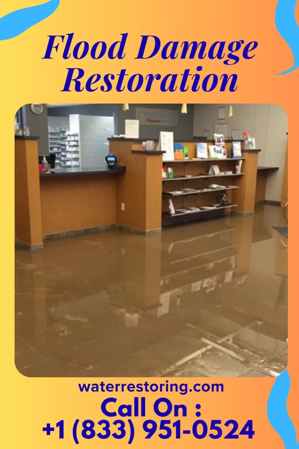 Flood Damage Restoration in Follansbee, WV