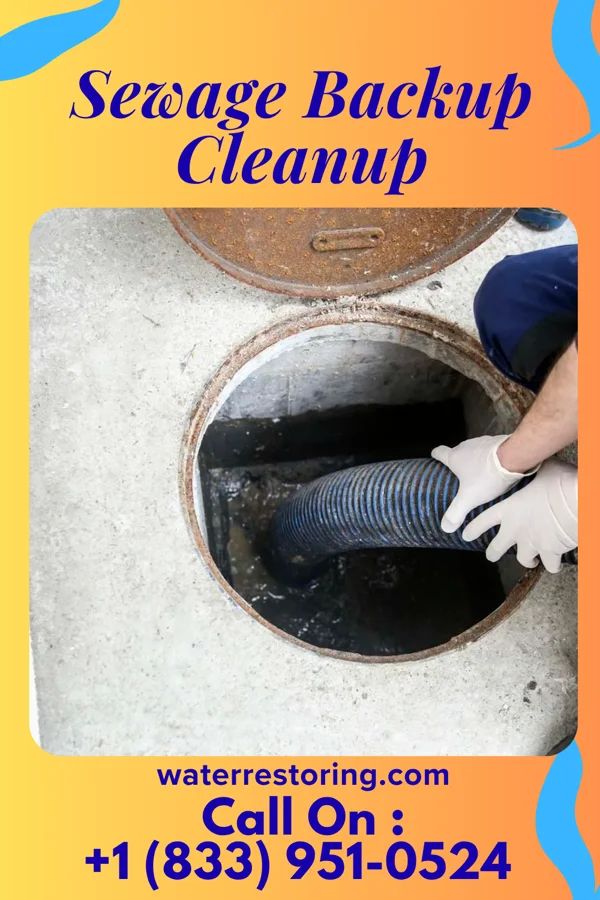 Sewage Backup Cleanup in Follansbee, WV