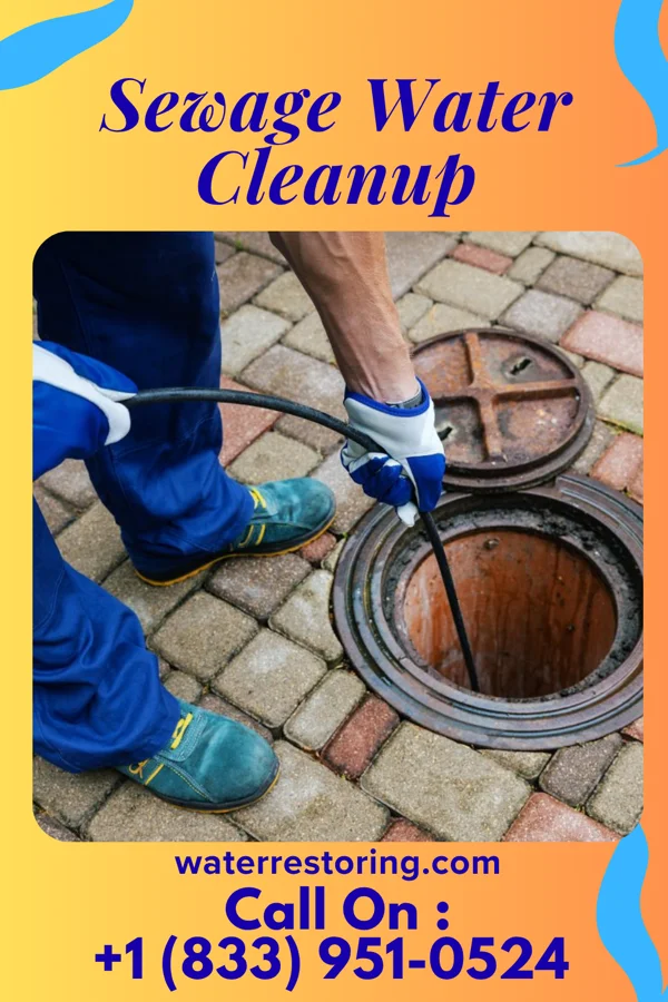 Sewage Water Cleanup in Follansbee, WV