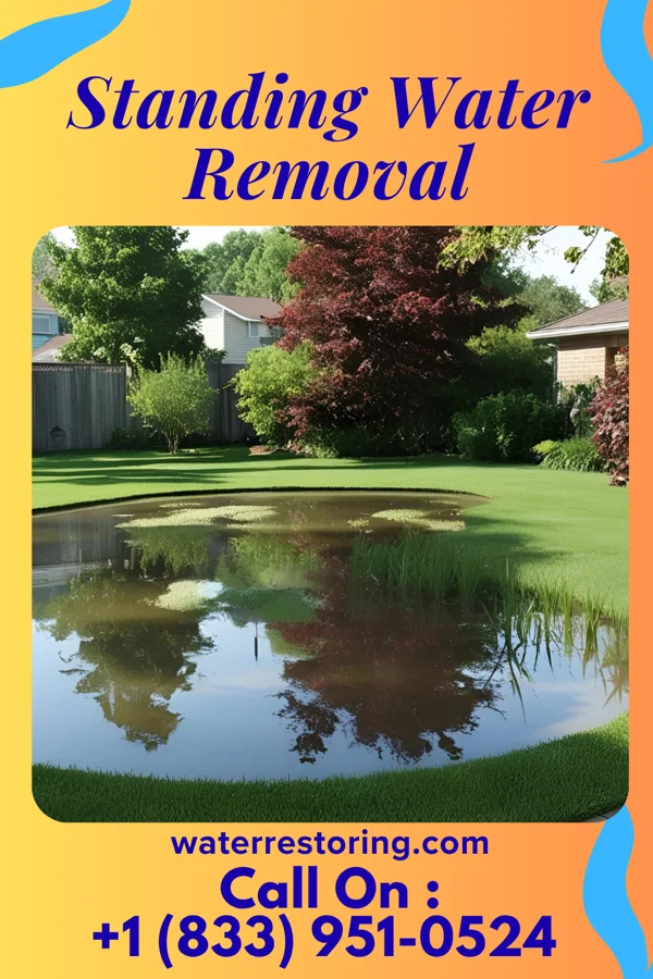 Standing Water Removal in Follansbee, WV